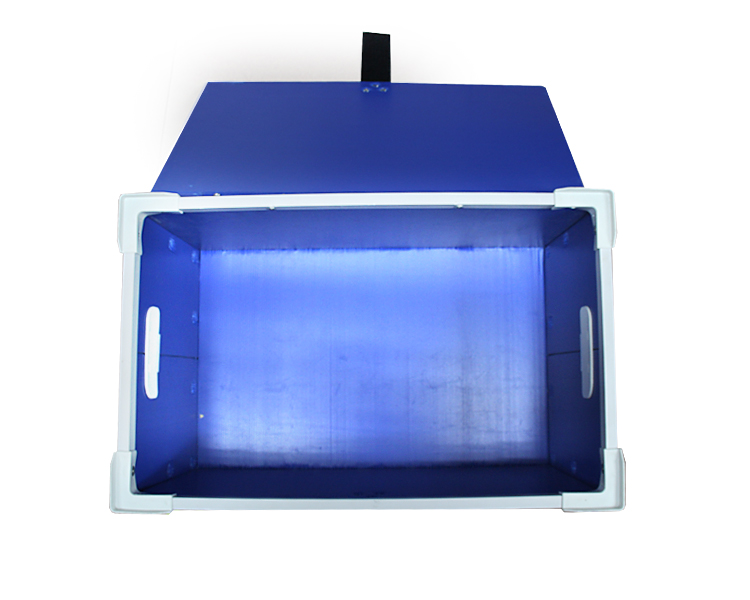 1525652511610273.jpg IMG_2070.jpg