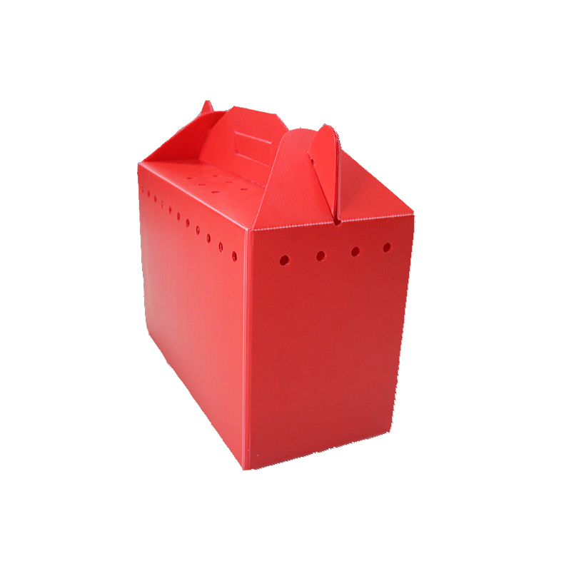 1527812169509468.jpg 1.jpg