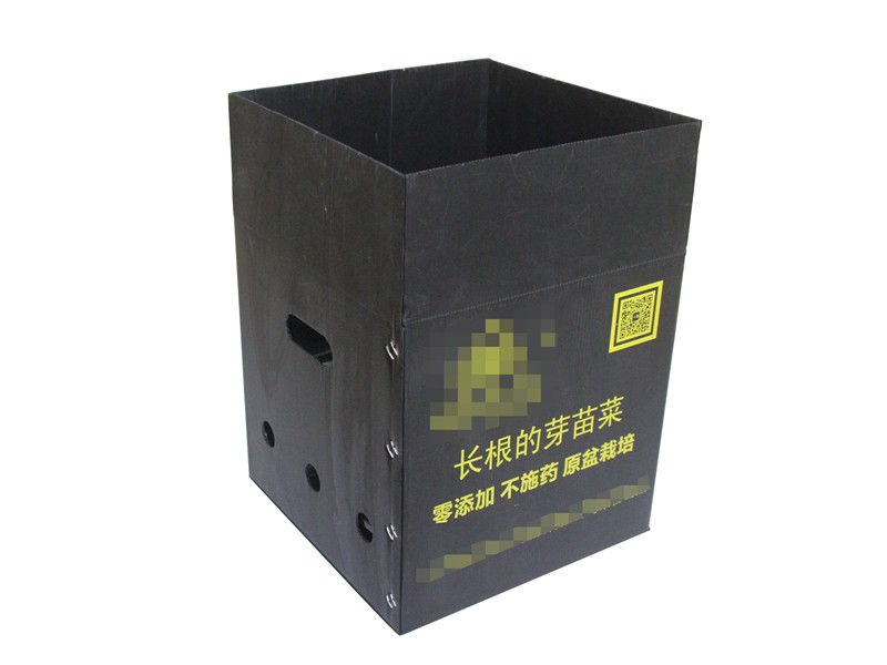 中空板水果箱丨果蔬箱丨水果中空板箱