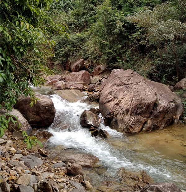 中空板廠家 中空板廠家
